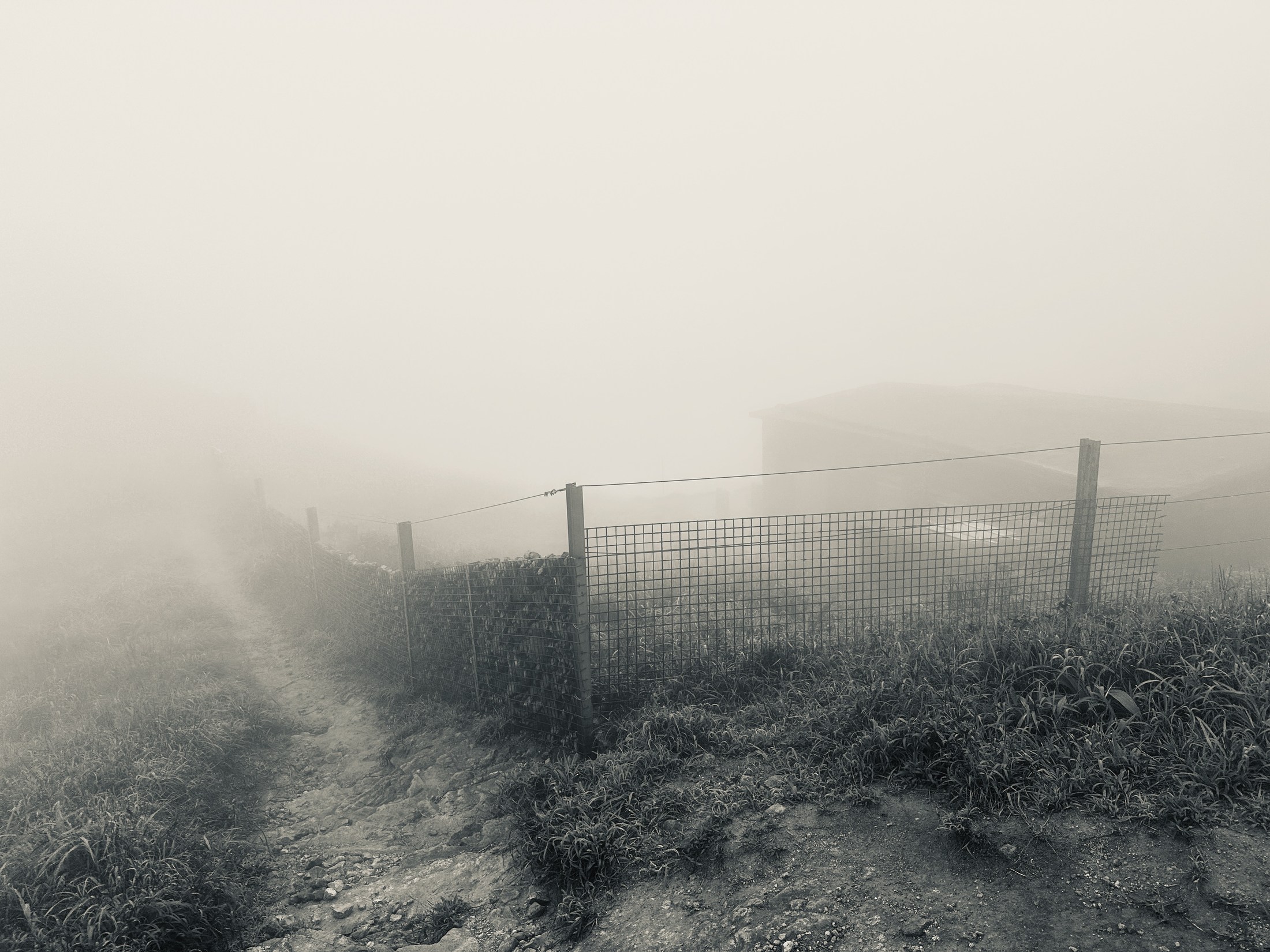 A path and fence fading into fog beside a low building.