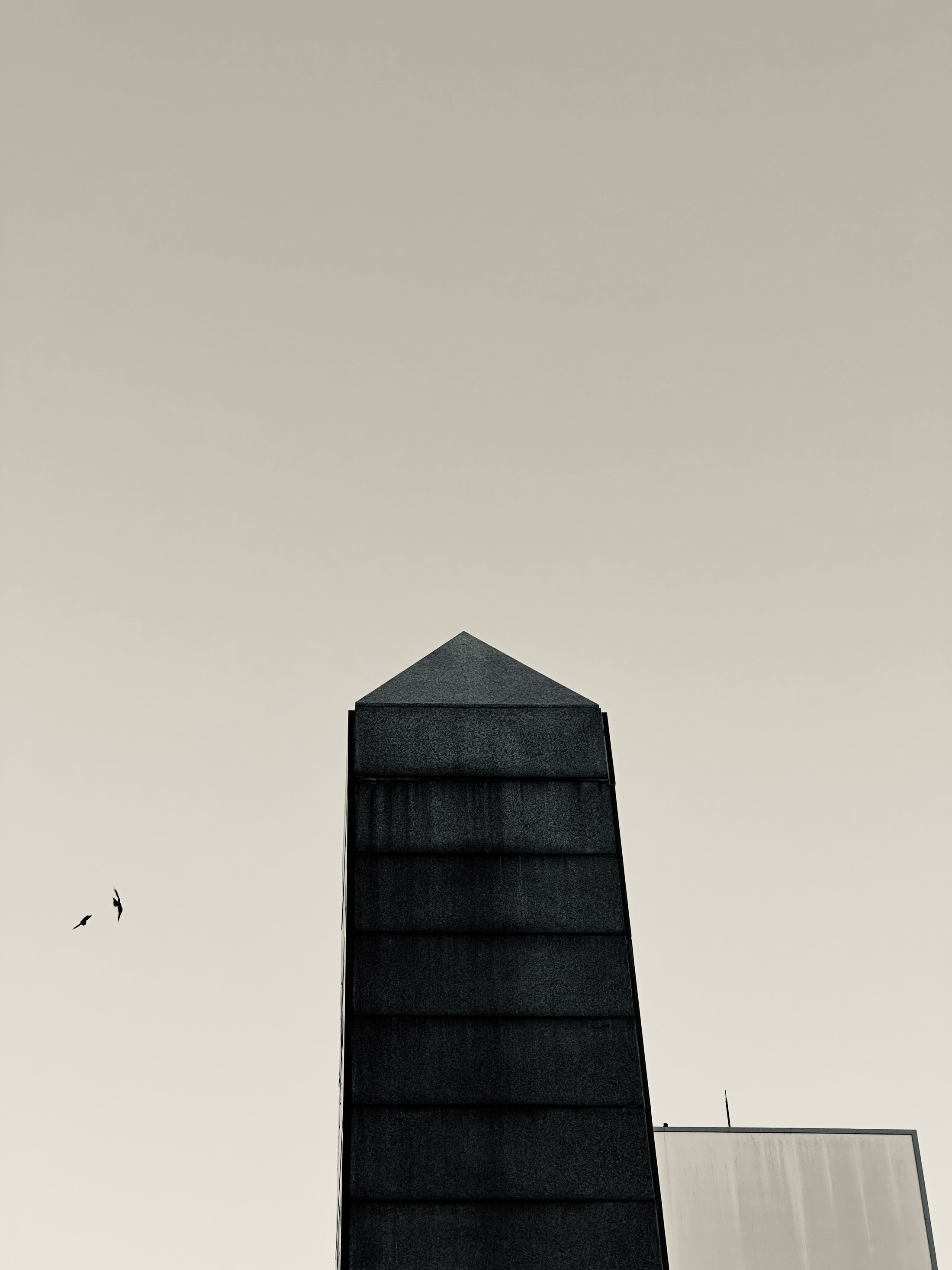 A dark obelisk rising into pale sky with two small birds nearby.