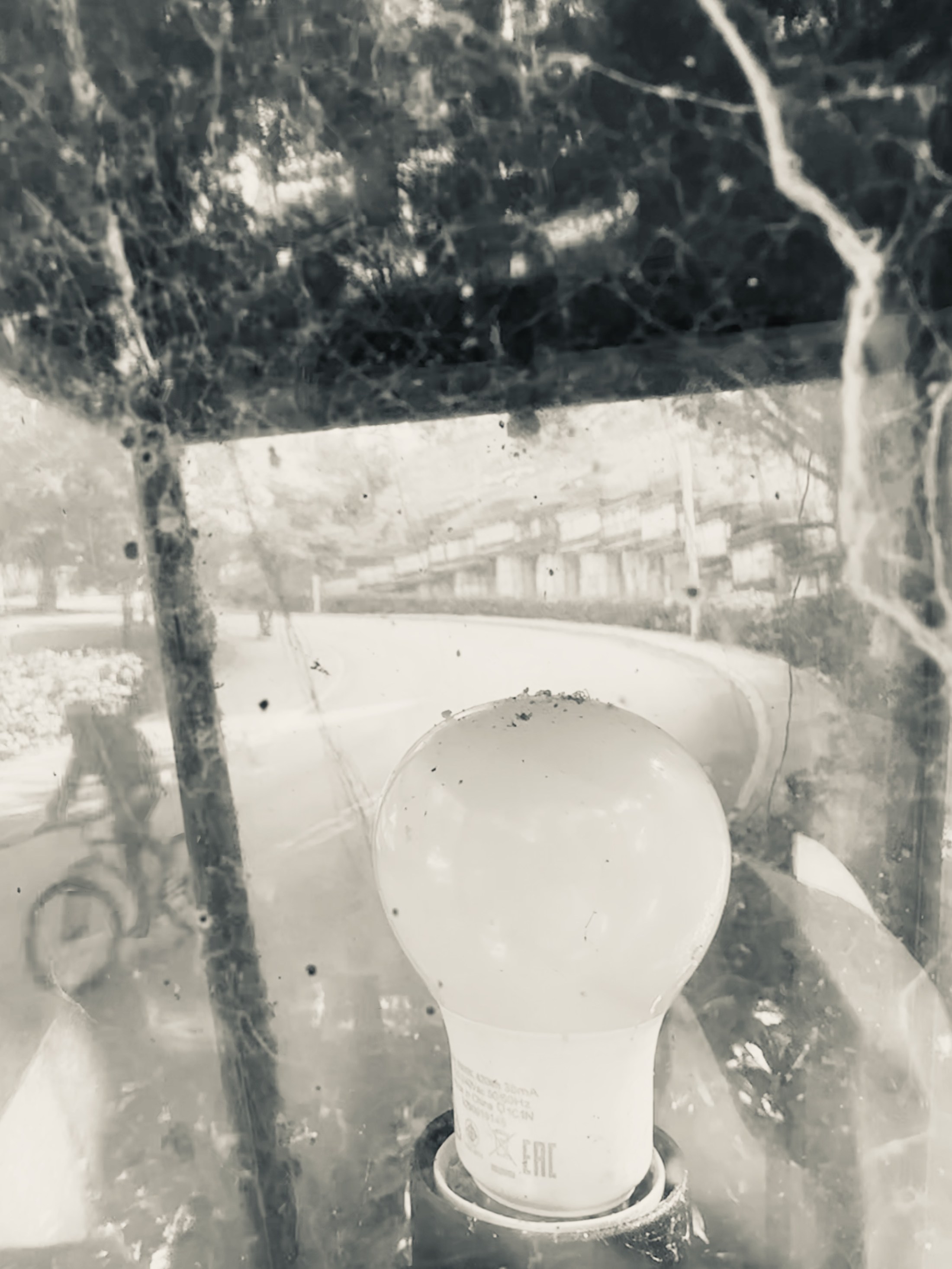 A light bulb, railing and bare branches layered in reflected glass.