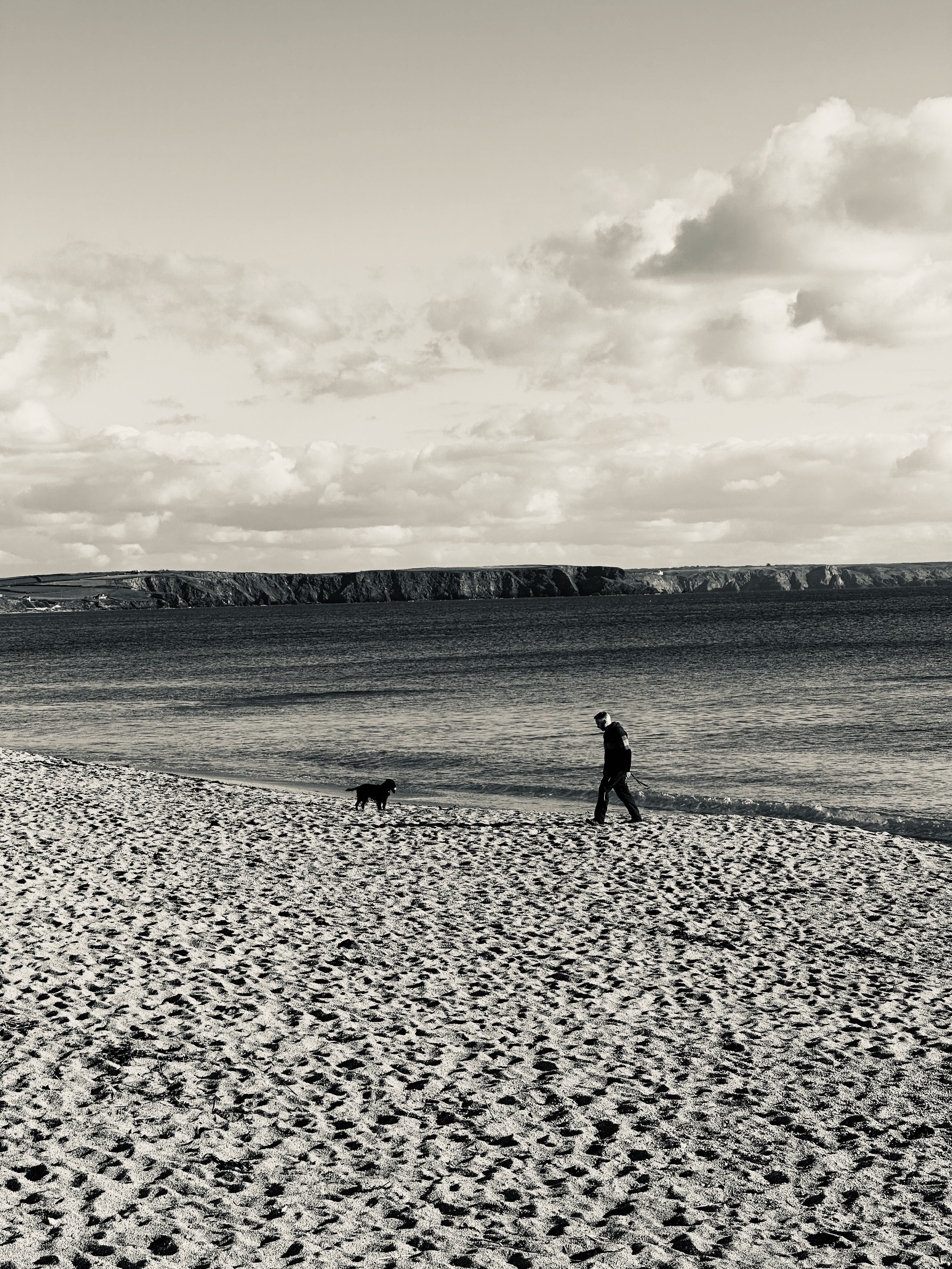 A person walking a dog on a broad beach beneath a pale sky.