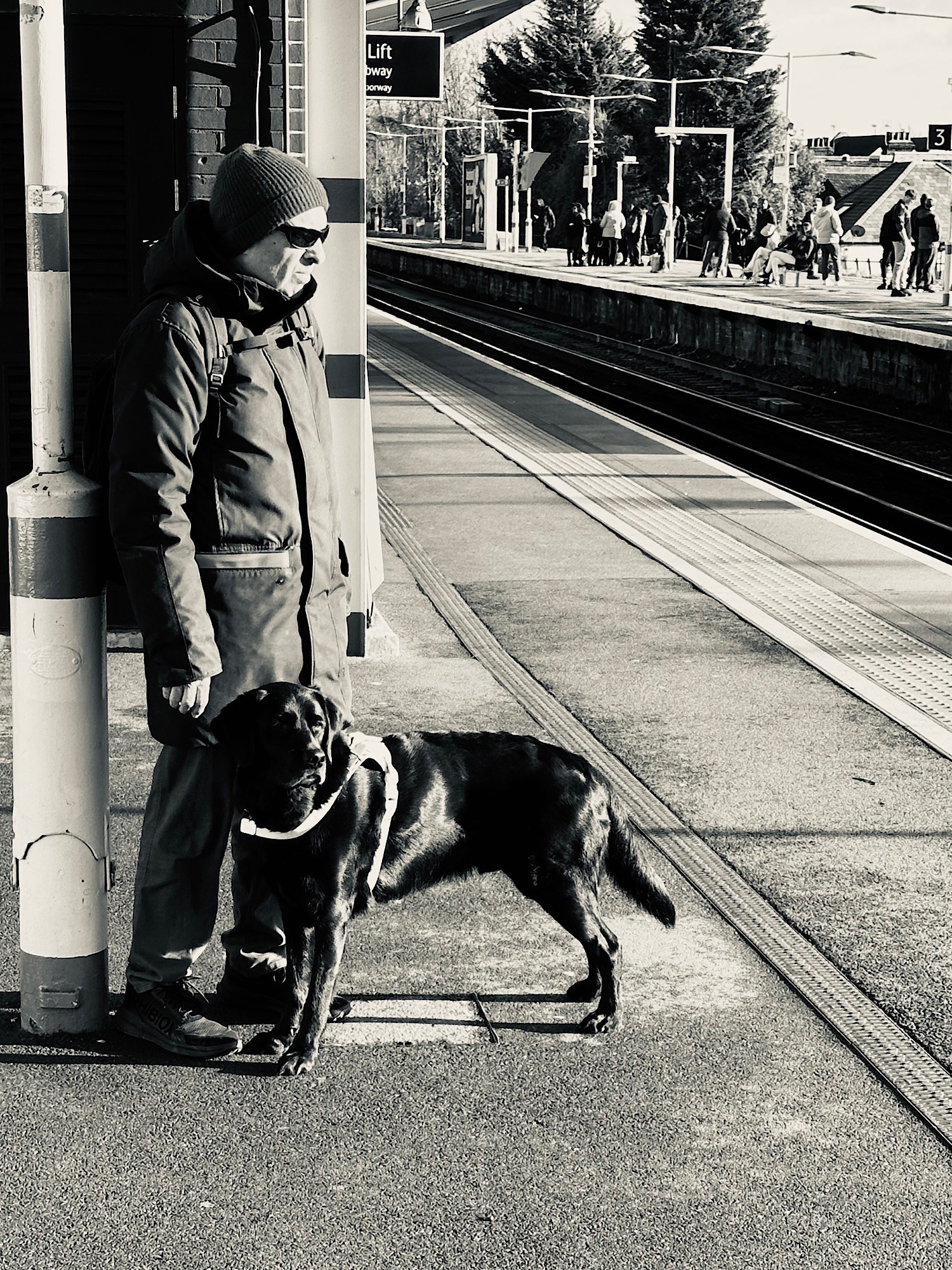 A person and harnessed dog stand on a railway platform with a crowd beyond.