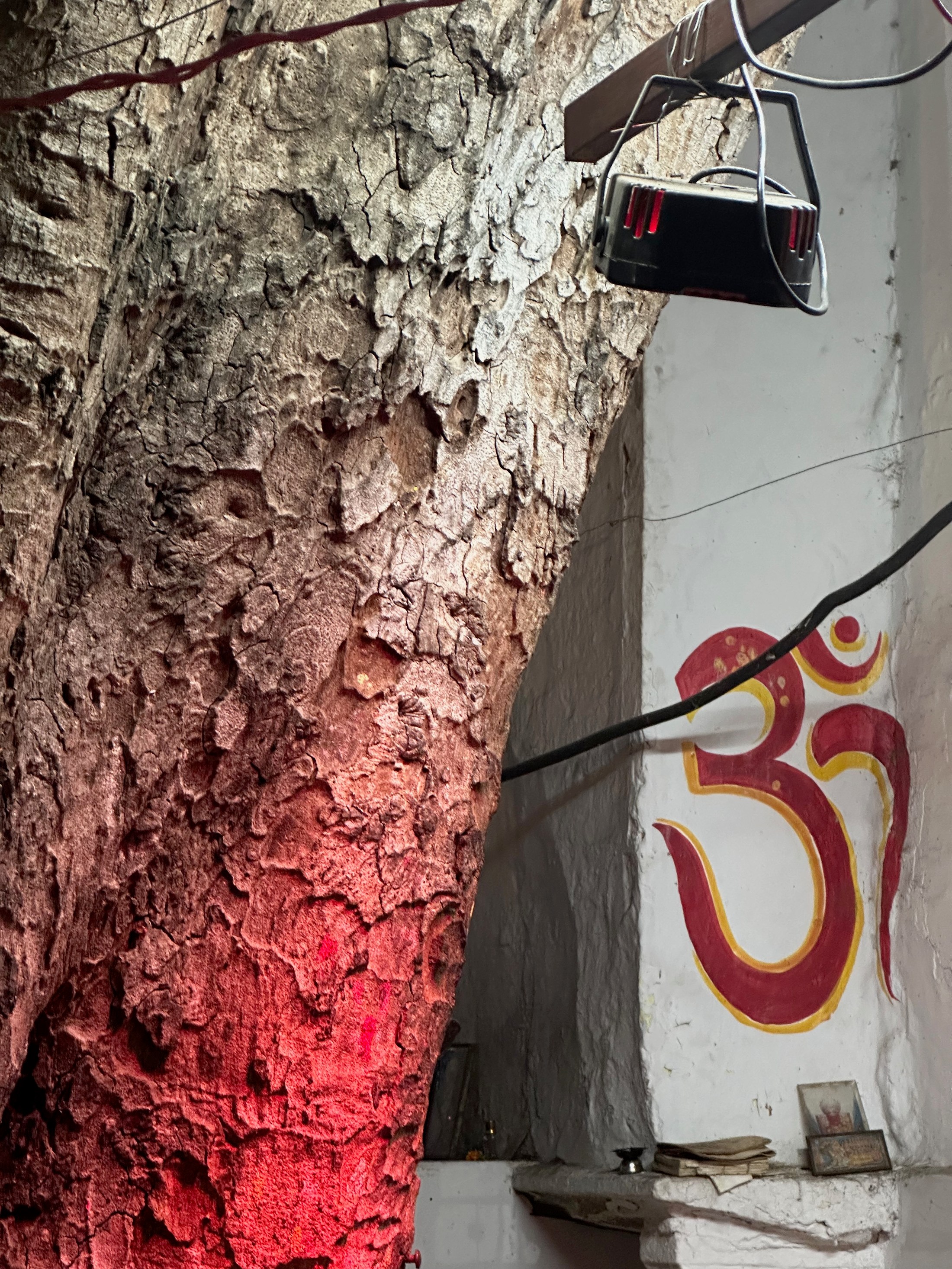 A tree trunk and cable car frame a painted Om symbol on a wall lit red.